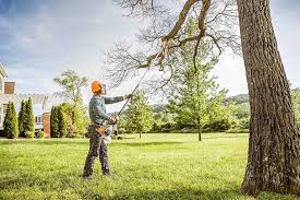 Best Storm Damage Tree Cleanup  in Clay City, IN