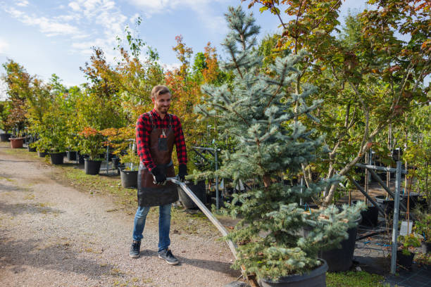 Best Tree and Shrub Care  in Clay City, IN